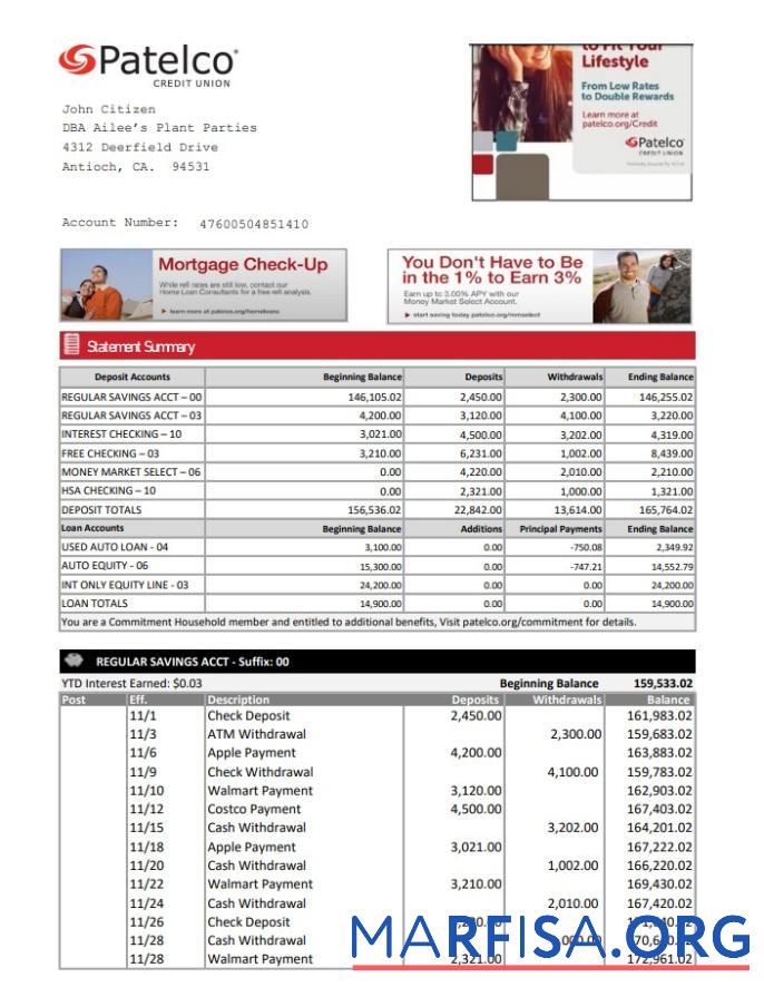 Downloadable USA California Patelco Credit Union bank statement excel example